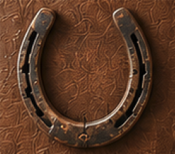 Genuine Horseshoes